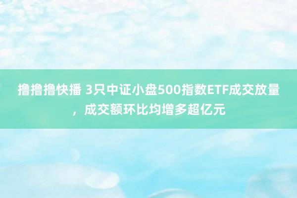 撸撸撸快播 3只中证小盘500指数ETF成交放量，成交额环比均增多超亿元